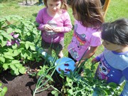 Zahradničíme ve školce